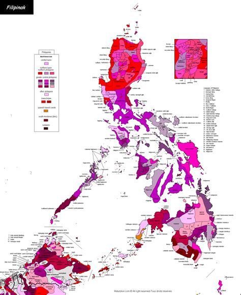 in tagalog meaning|The Language Planning Situation in the Philippines .